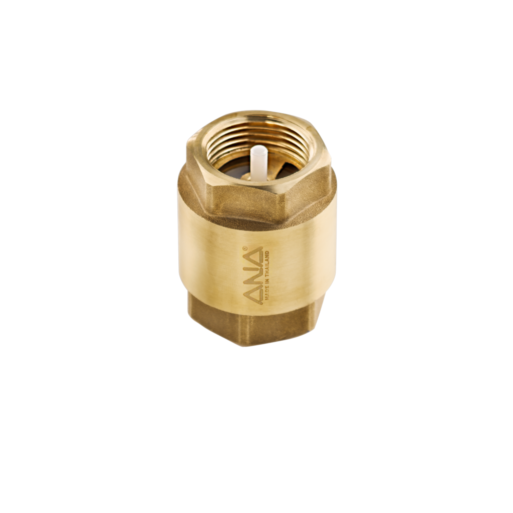ANA Check Valve Spring