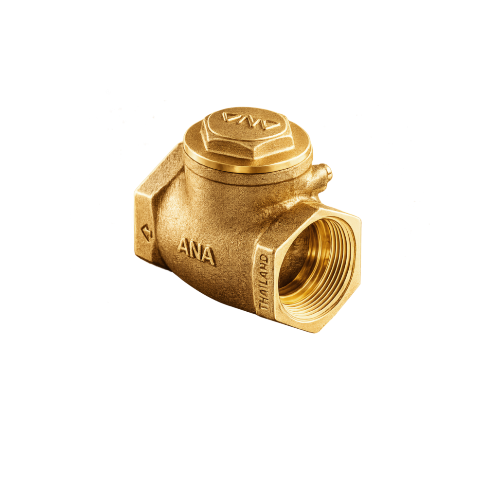 ANA Check Valve Swing