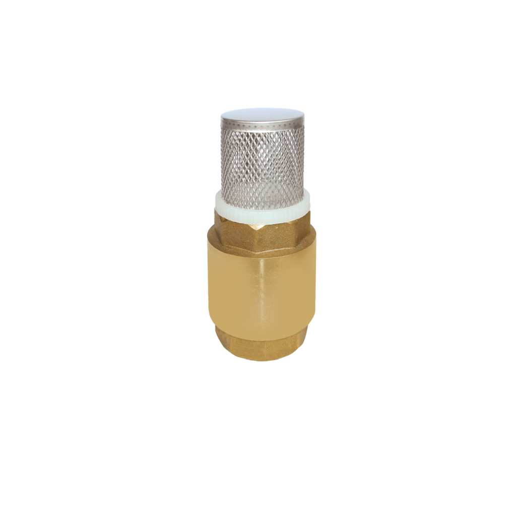 ANA Spring Foot Valve