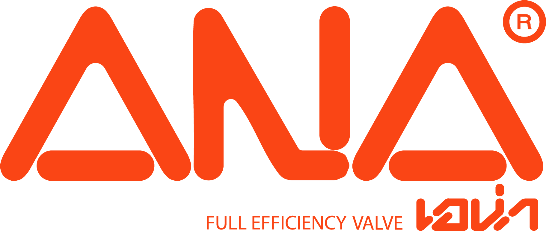 ANA Valve Logo